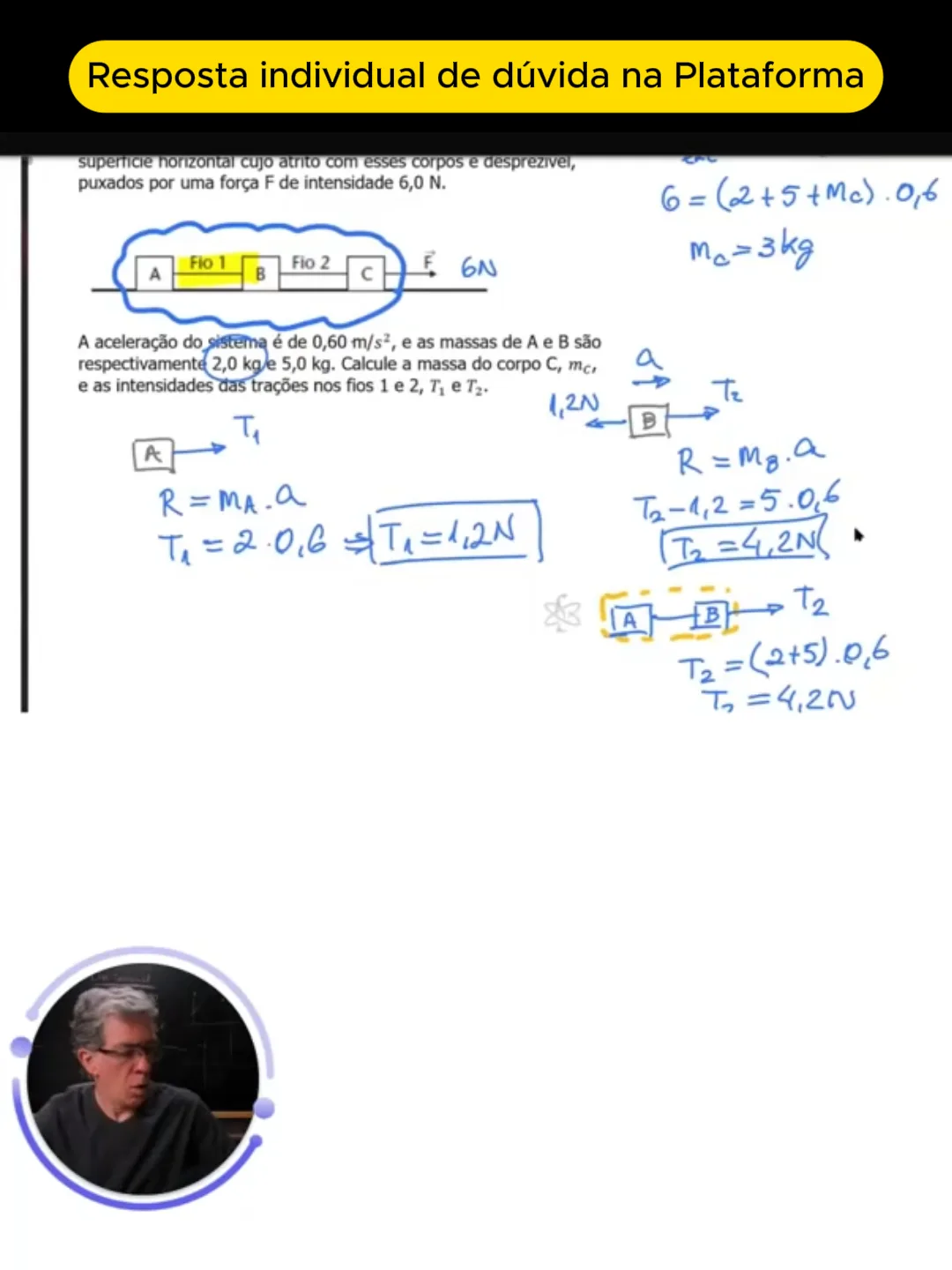 Resposta individual de dúvida na plataforma — Professor Pinguim resolvendo uma questão ao vivo